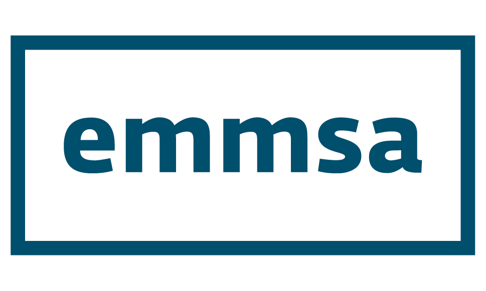 EMMSA IT Services