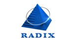 Radixweb: Custom Software Development for Insurance Business